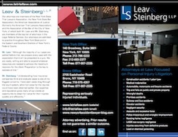 Leav & Steinberg brochure
